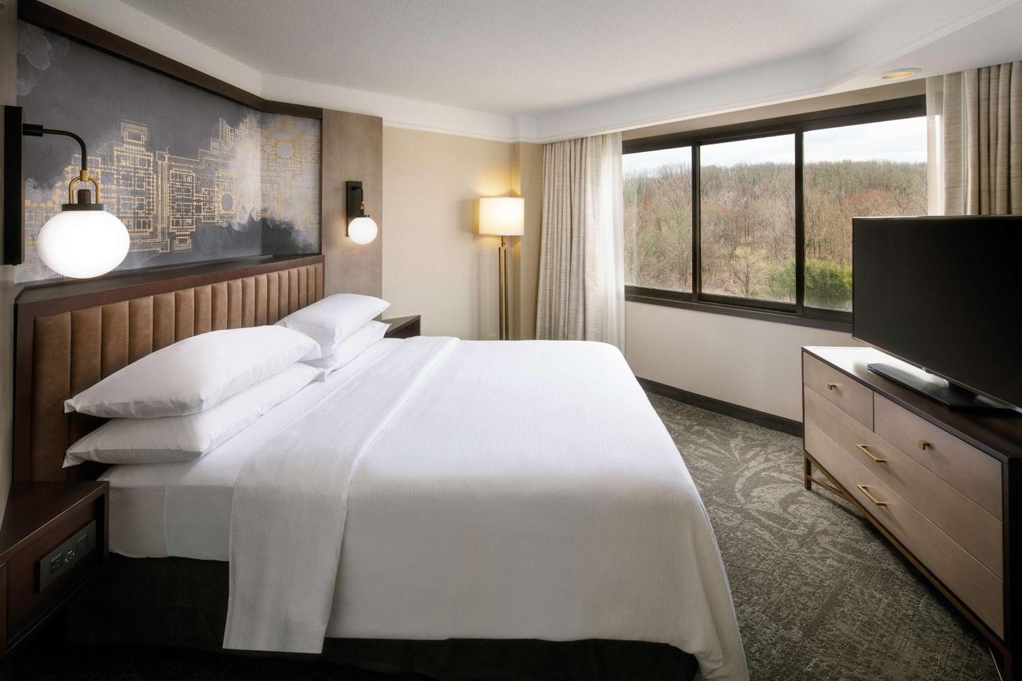 Suite with One King Bed, One Queen Sofa Bed and Shower